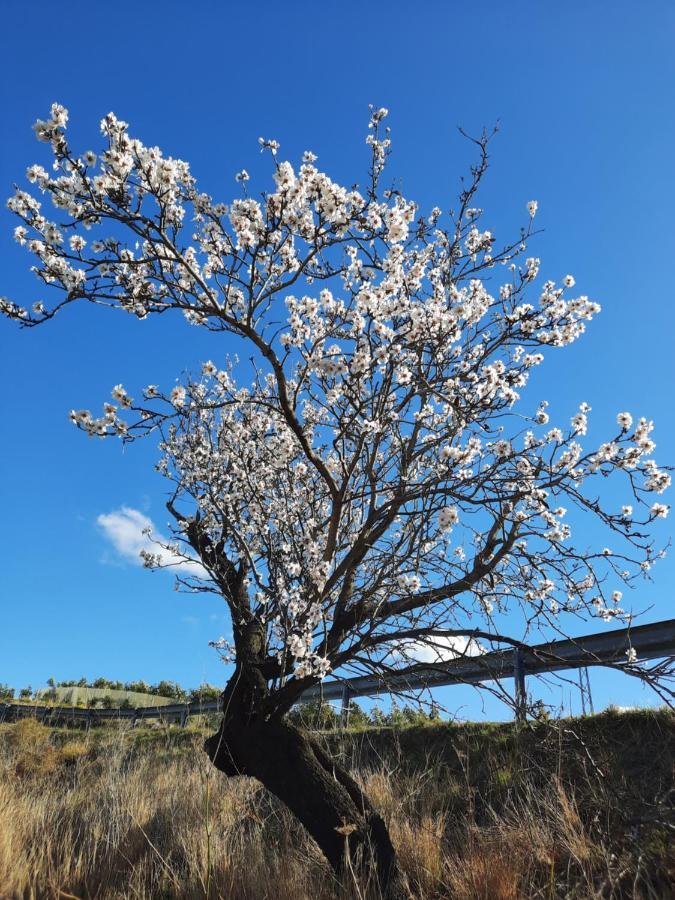 아레나스 Casa La Aurora 빌라 외부 사진